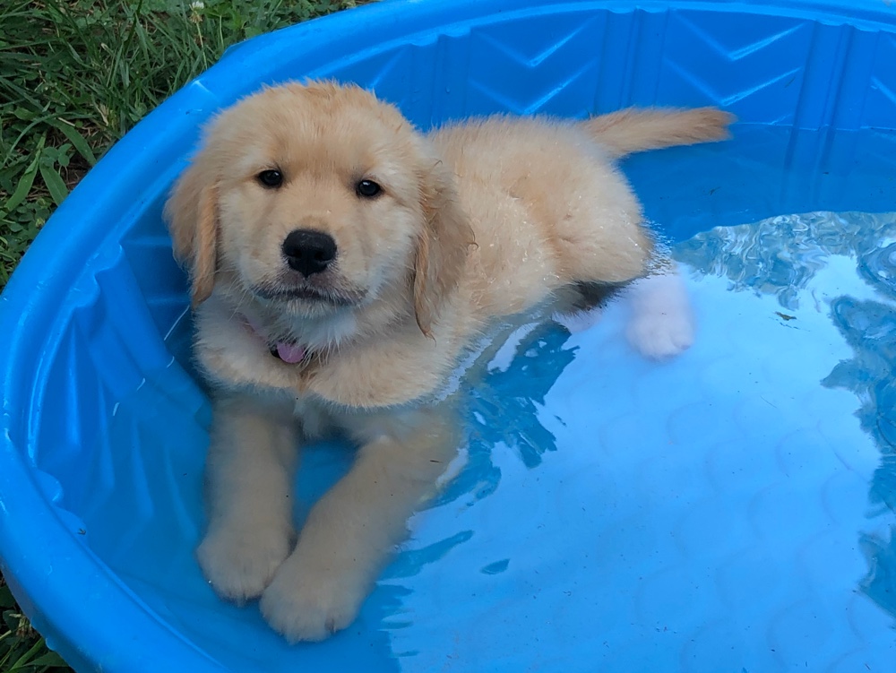 Tilly in baby pool
