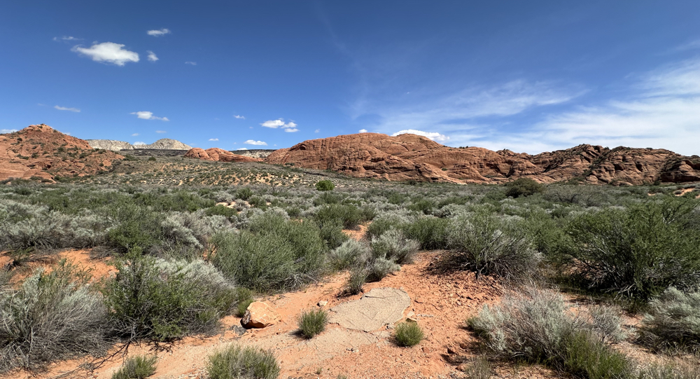 Desert in Snow Canyon State Park